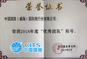 總社優(yōu)秀團(tuán)隊(duì)獎(jiǎng).png